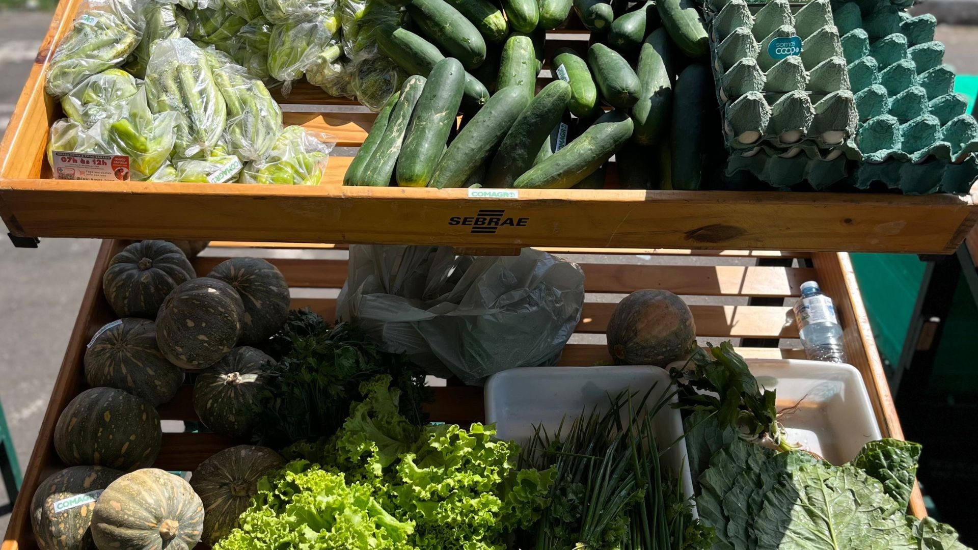 Feira Tucuju da Agricultura Familiar Atraí Produtores e Consumidores em Macapá