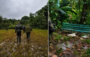 Corpo de Jovem Encontrado em Mata de Ananindeua Mobiliza Autoridades