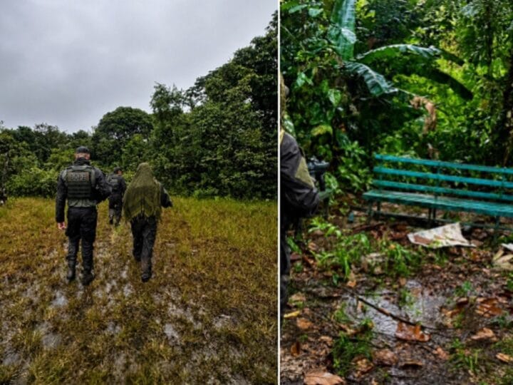 Corpo de Jovem Encontrado em Mata de Ananindeua Mobiliza Autoridades