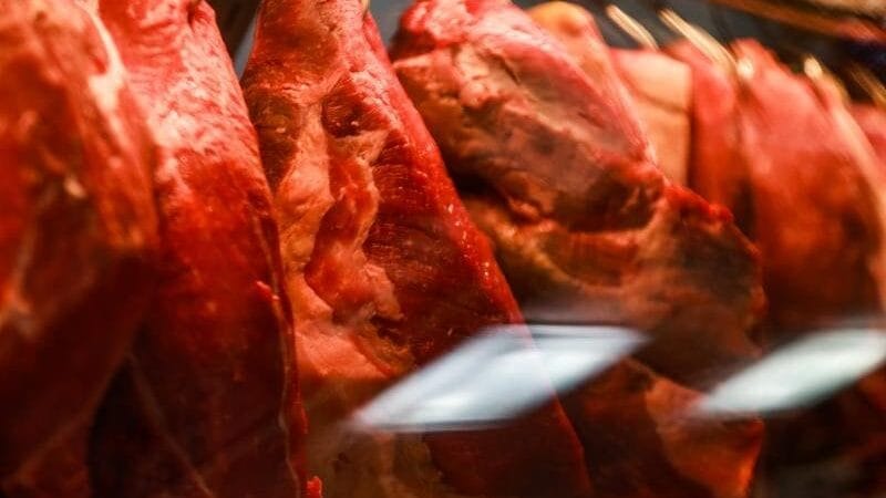 Impactos do Veto da União Europeia nas Exportações de Carne em Rondônia
