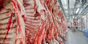 Governo Brasileiro Planeja Reverter Veto da União Europeia a Exportações de Carne