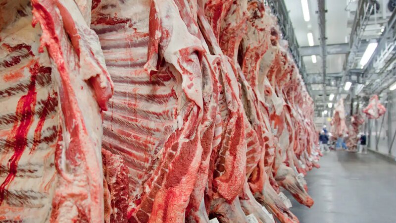 Governo Brasileiro Planeja Reverter Veto da União Europeia a Exportações de Carne