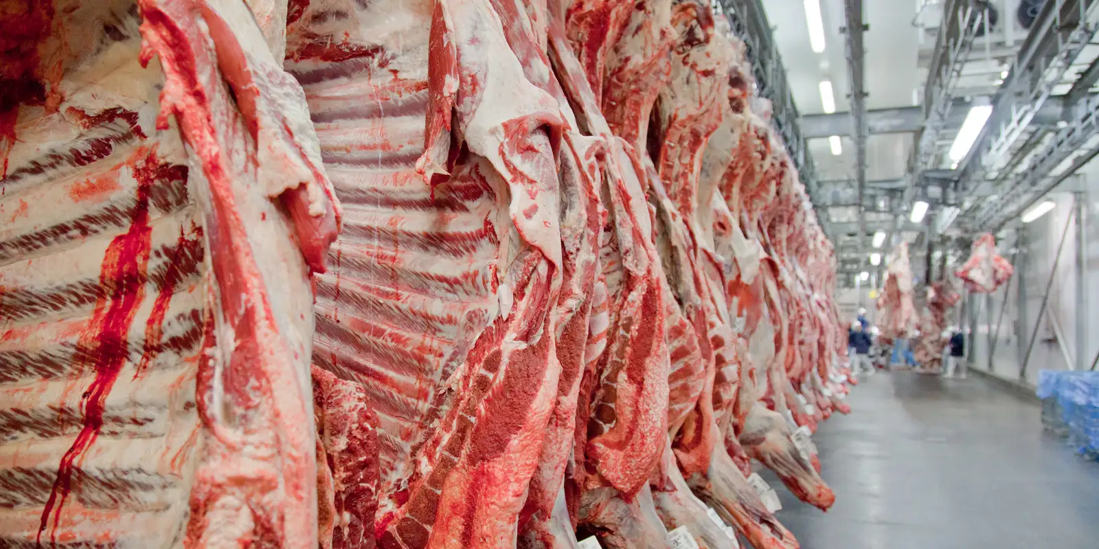Governo Brasileiro Planeja Reverter Veto da União Europeia a Exportações de Carne