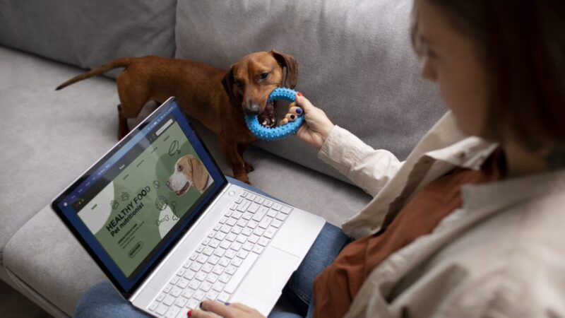 Transformações no Marketing Pet: A Influência de Dados e Comportamentos no Setor Veterinário