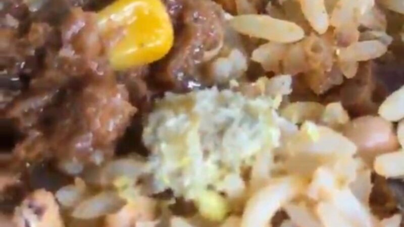 Estudantes Revelam Insetos em Refeições do Restaurante do IFRR em Caracaraí