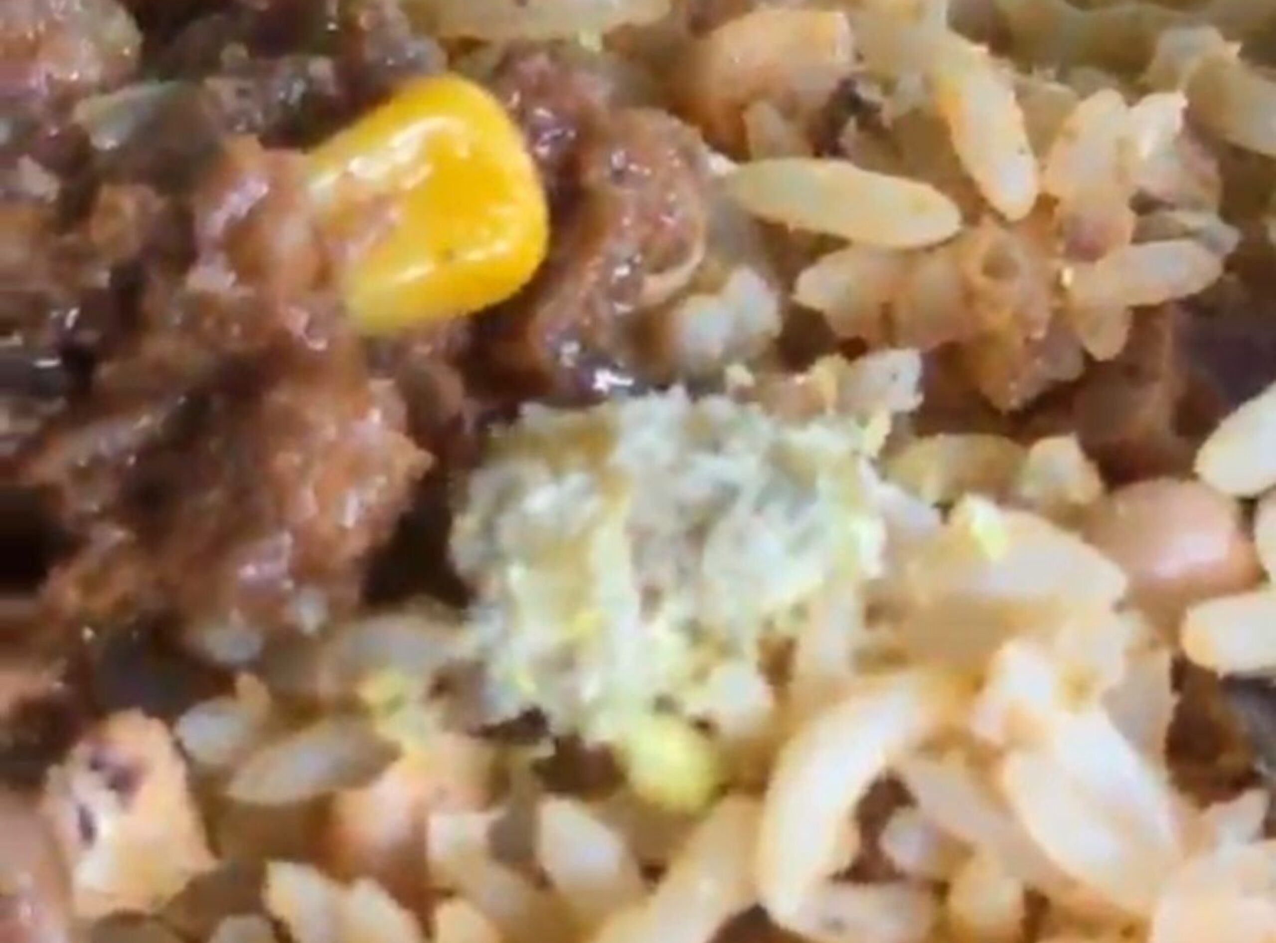 Estudantes Revelam Insetos em Refeições do Restaurante do IFRR em Caracaraí