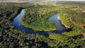 Nasce o Observatório pelo Ambiente: A Tecnologia como Aliada da Paz