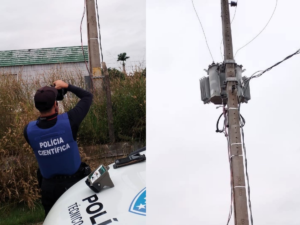 Fábrica de Laticínios em Ji-Paraná é Acusada de Furto de Energia Elétrica