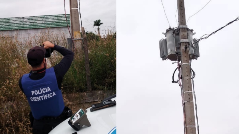 Fábrica de Laticínios em Ji-Paraná é Acusada de Furto de Energia Elétrica