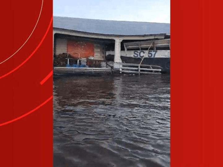 Colisão de Balsa com Flutuante no Amazonas: Entenda o Acidente