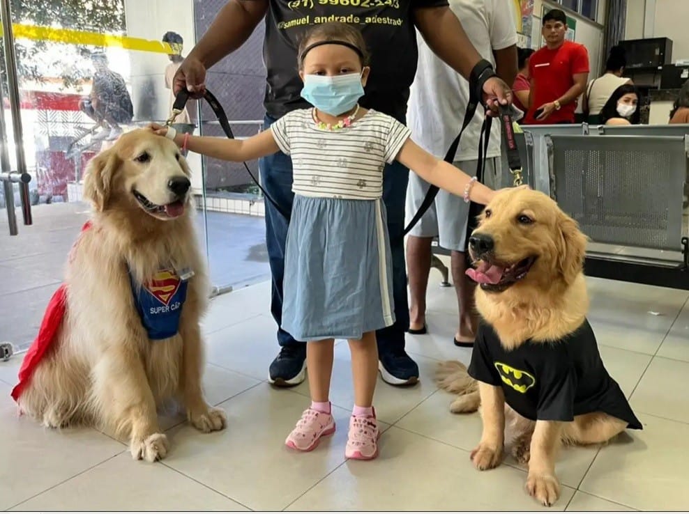 Cães Super-Heróis Transformam a Rotina de Crianças em Tratamento Oncológico em Belém