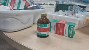 Influenciadora e Namorado Presos em Manaus com Cetamina entre Drogas Apreendidas