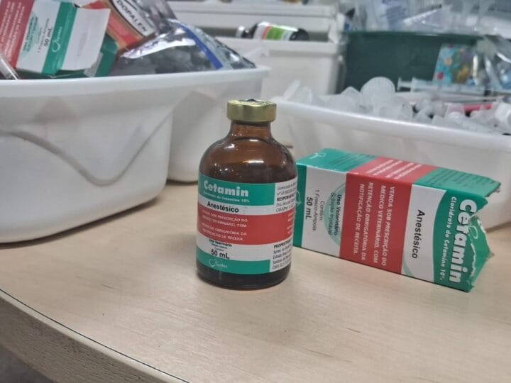 Influenciadora e Namorado Presos em Manaus com Cetamina entre Drogas Apreendidas