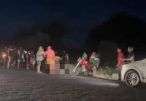 Tragédia na TO-201: Motociclista Perde a Vida em Colisão com Cavalo