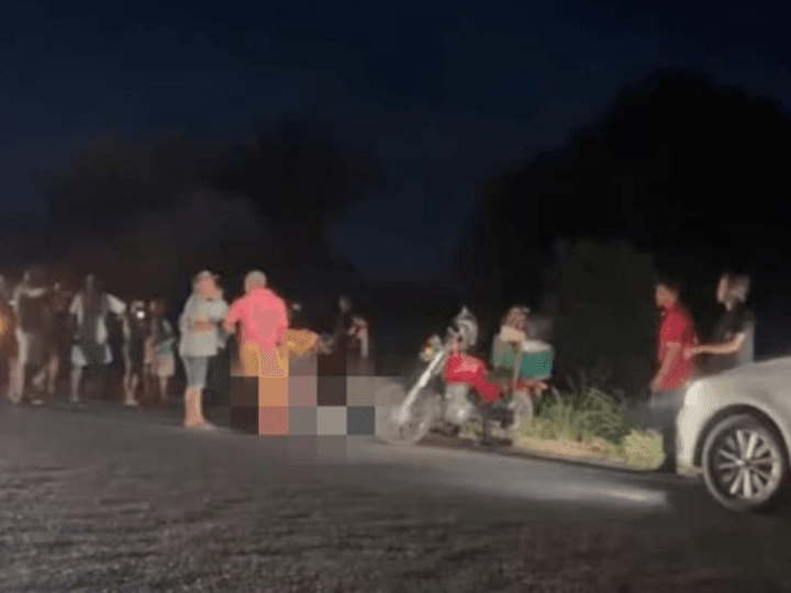 Tragédia na TO-201: Motociclista Perde a Vida em Colisão com Cavalo