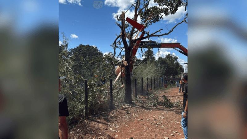 Acidente com Helicóptero de Henrique e Juliano: Entenda o Que Aconteceu e as Características da Aeronave