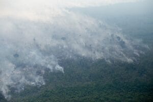 Acre Recebe R$ 10 Milhões para Combater Desmatamento em Cinco Municípios