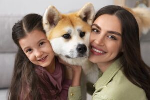 Entenda a Nova Lei de Guarda Compartilhada de Animais de Estimação