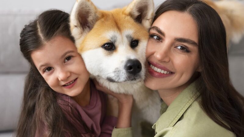 Entenda a Nova Lei de Guarda Compartilhada de Animais de Estimação
