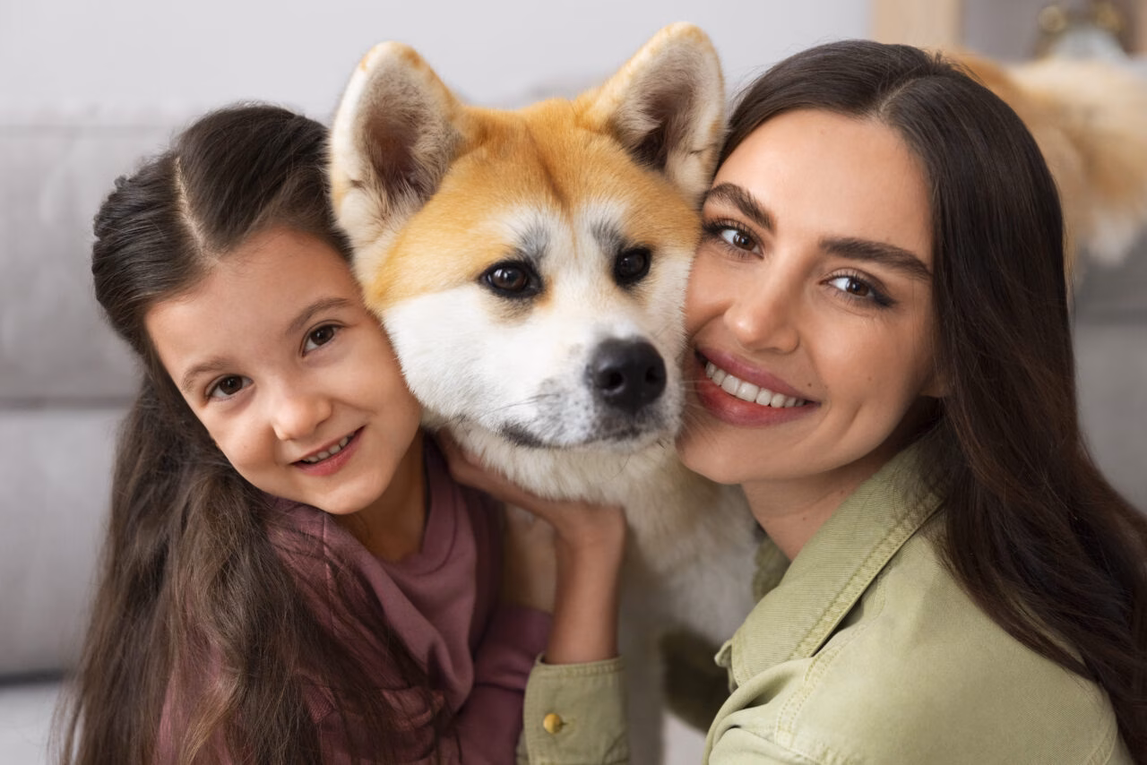 Entenda a Nova Lei de Guarda Compartilhada de Animais de Estimação