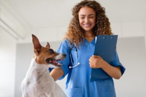 Código de Ética na Medicina Veterinária: Compromisso e Responsabilidade