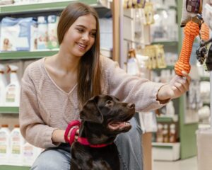 Crescimento do Mercado Pet no Brasil: Uma Nova Realidade Financeira para as Famílias