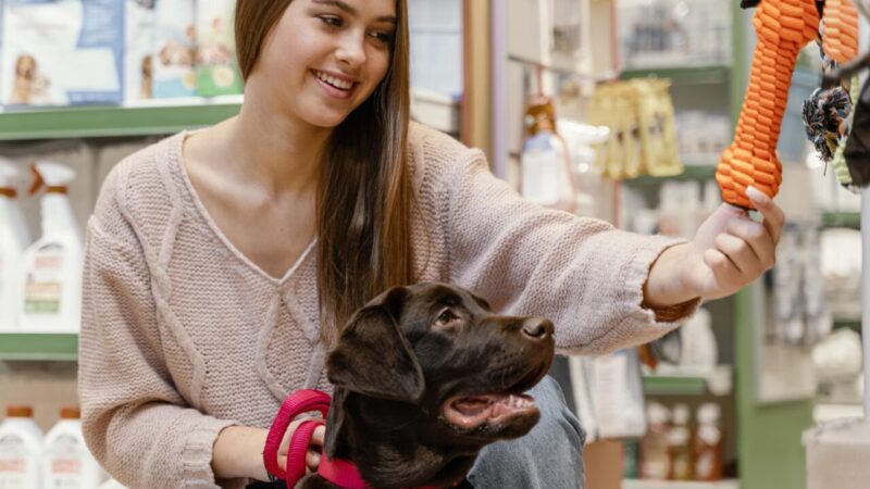 Crescimento do Mercado Pet no Brasil: Uma Nova Realidade Financeira para as Famílias
