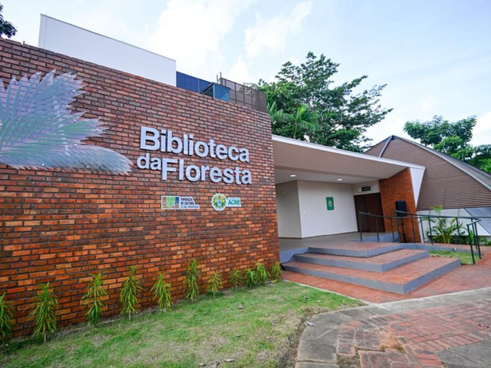 Biblioteca da Floresta Atinge 1.393 Visitas em Menos de Três Meses Após Reabertura