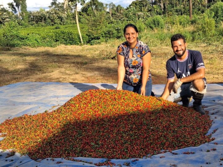 Café Acreano: Pequenos Produtores Ganham Destaque no Agronegócio