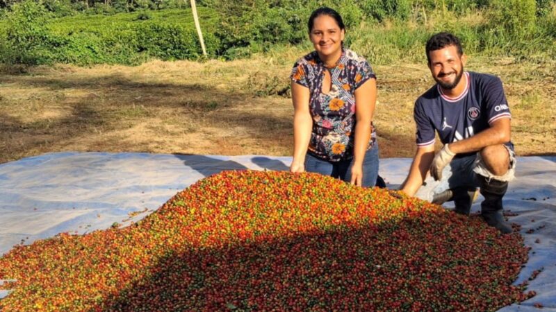 Café Acreano: Pequenos Produtores Ganham Destaque no Agronegócio