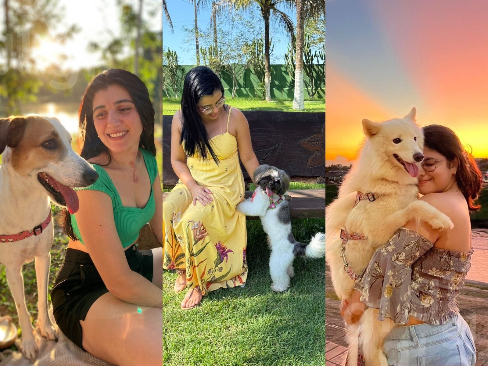 A Nova Maternidade: Histórias de Mães de Pet no Acre