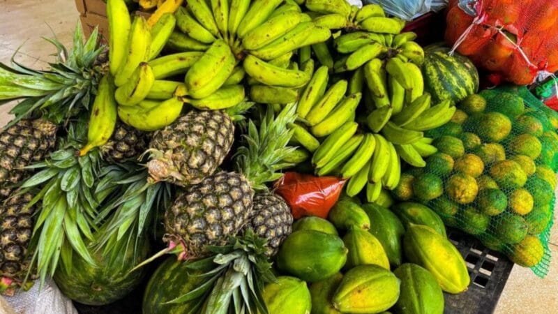 Acre Recebe Investimento de R$ 103,5 Mil para Nutrição na Atenção Primária à Saúde