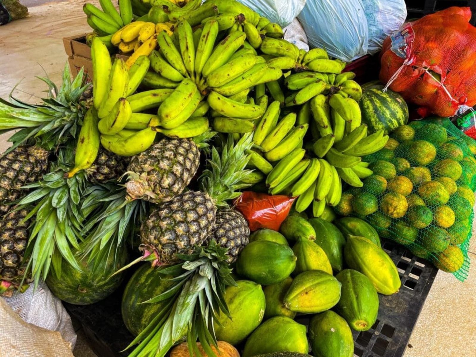 Acre Recebe Investimento de R$ 103,5 Mil para Nutrição na Atenção Primária à Saúde
