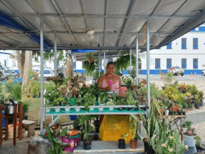 Superação e Empreendedorismo: A Trajetória de Alcenira no Acre