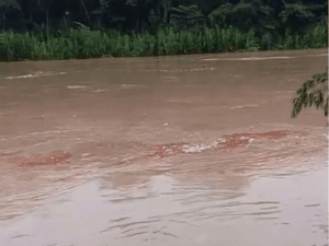 Emergência no Acre: Inundações e Contaminação por Óleo Mobilizam Governo Federal