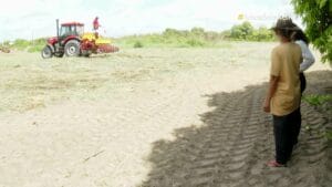 Mecanização e Estratégias de Plantio Aumentam Safra de Milho em Boa Vista
