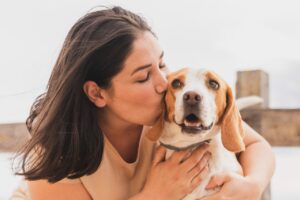 Projeto de Lei Propõe Inclusão de Animais de Estimação na Lei Maria da Penha