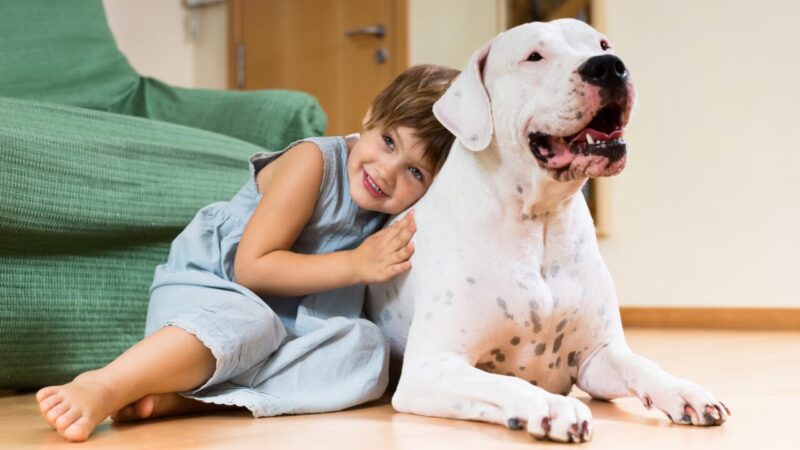 Orientações para uma Convivência Segura entre Pets e Crianças