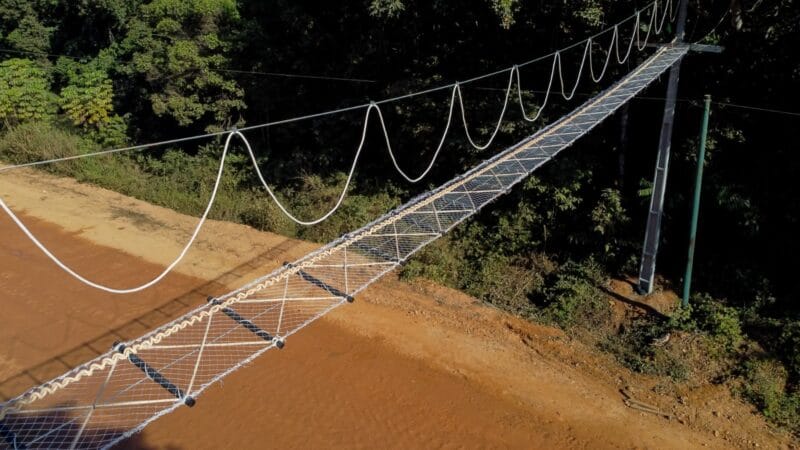 BR-319: A Controvérsia em Torno da Reconstrução e Preservação Ambiental