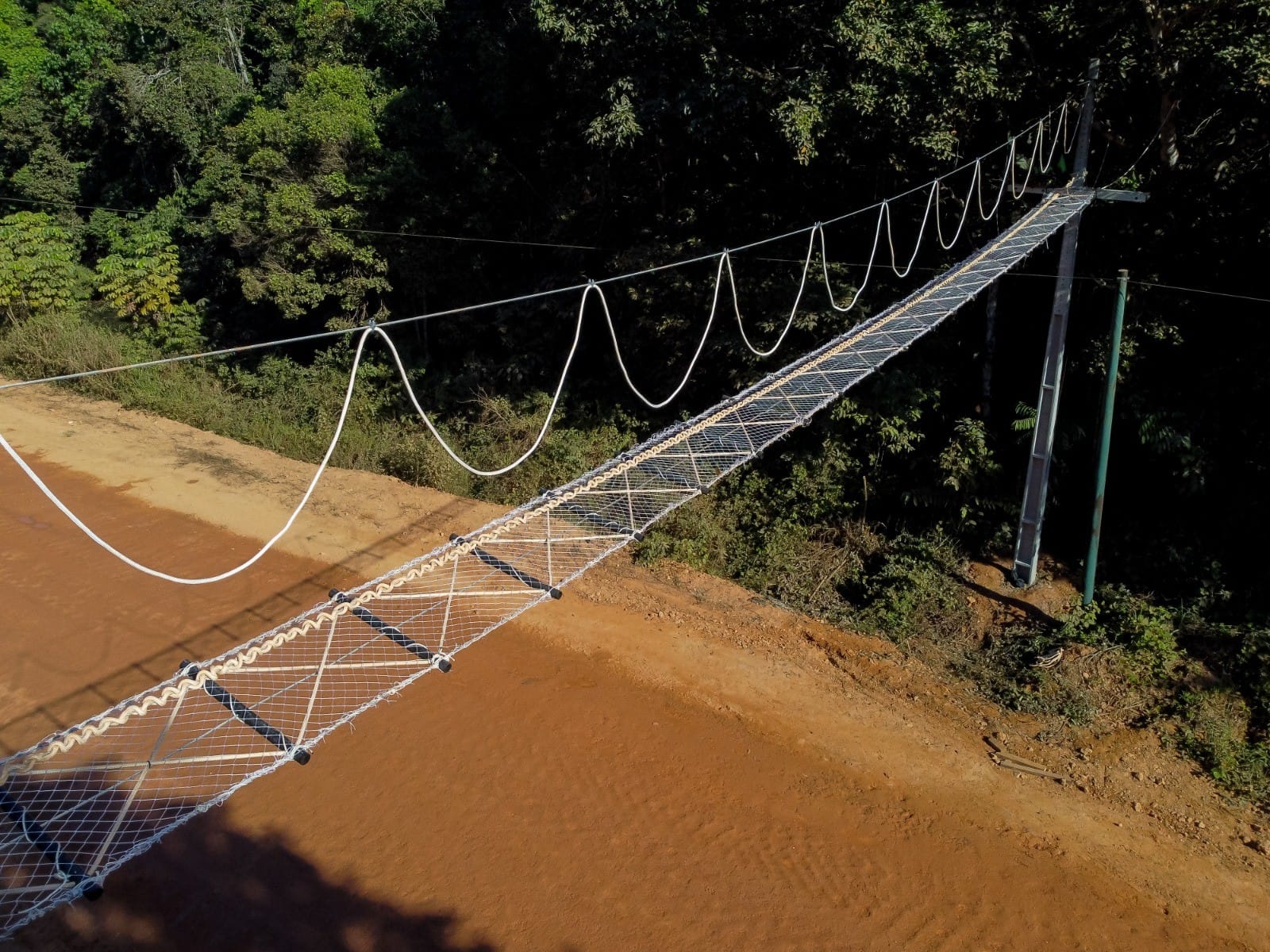 BR-319: A Controvérsia em Torno da Reconstrução e Preservação Ambiental