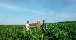 Sicredi Destina R$ 48,3 Bilhões em Crédito Agrícola na Safra 2025/2026