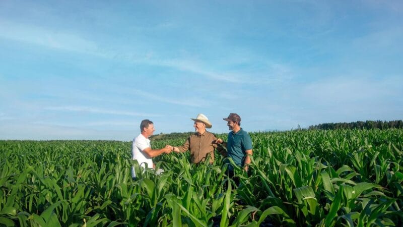 Sicredi Destina R$ 48,3 Bilhões em Crédito Agrícola na Safra 2025/2026