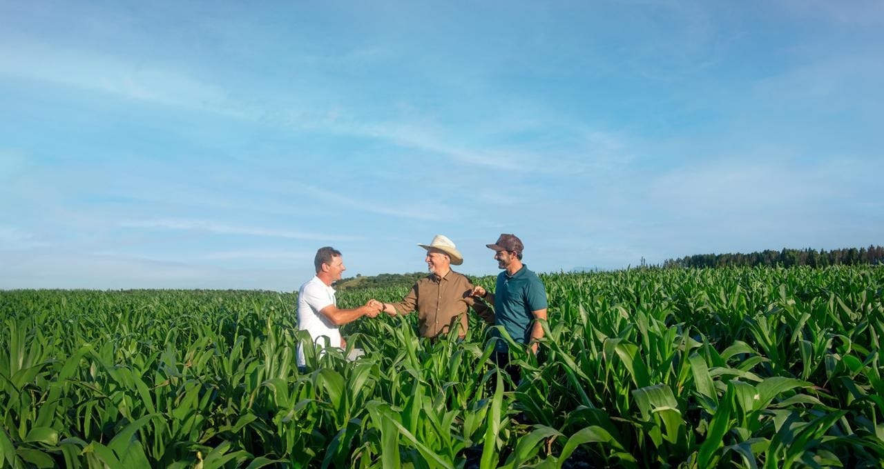Sicredi Destina R$ 48,3 Bilhões em Crédito Agrícola na Safra 2025/2026