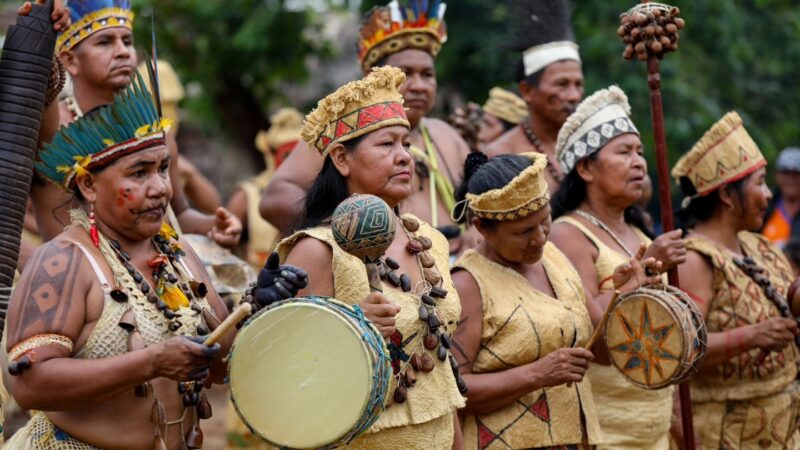 Aumento Alarmante nos Homicídios de Indígenas no Amazonas entre 2023 e 2024