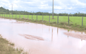 Chuvas em Roraima: Inundações Afetam Agricultura e Comunidades Indígenas