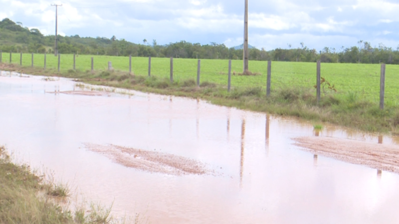 Chuvas em Roraima: Inundações Afetam Agricultura e Comunidades Indígenas