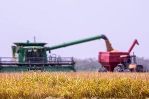 Crescimento do Plantio de Soja em Roraima: Expectativas para 2026