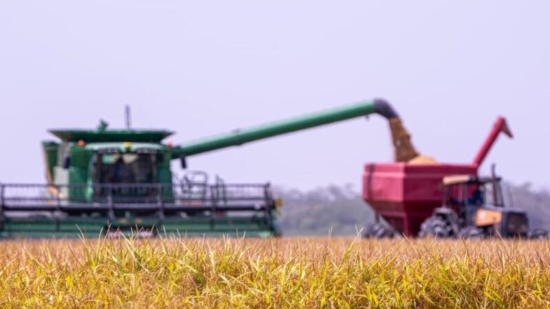 Crescimento do Plantio de Soja em Roraima: Expectativas para 2026