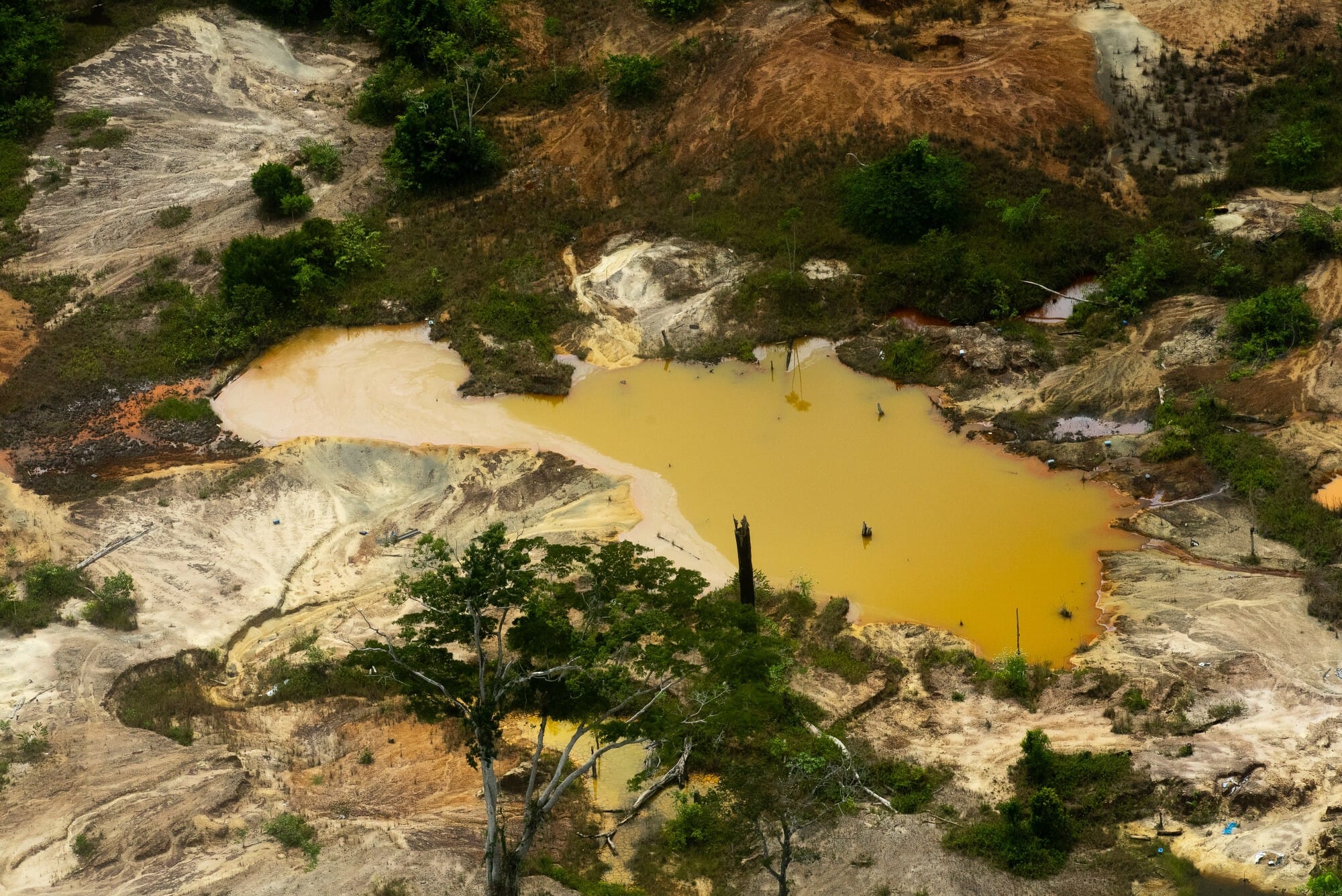 Garimpo Ilegal na Terra Yanomami: Queda na Degradação e Novas Estratégias