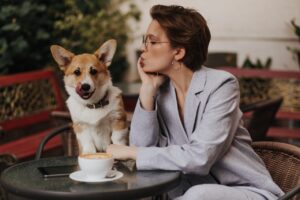 Babás de Cães de Luxo: Um Mercado em Crescimento nos EUA